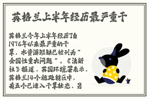 久久九九久精品国产